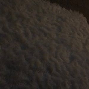 Meet your Posher, Sammy